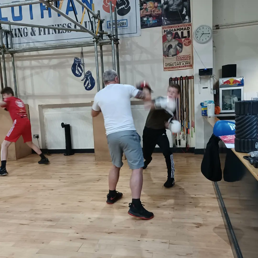 Midlothian Boxing tweet media