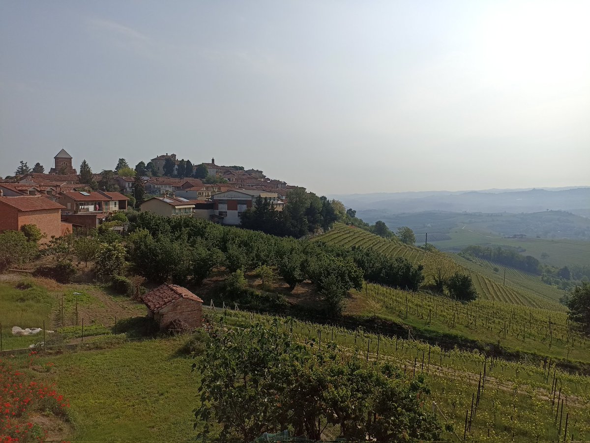 È quasi estate!
#AlbaInLanghe#Langhe#verduno