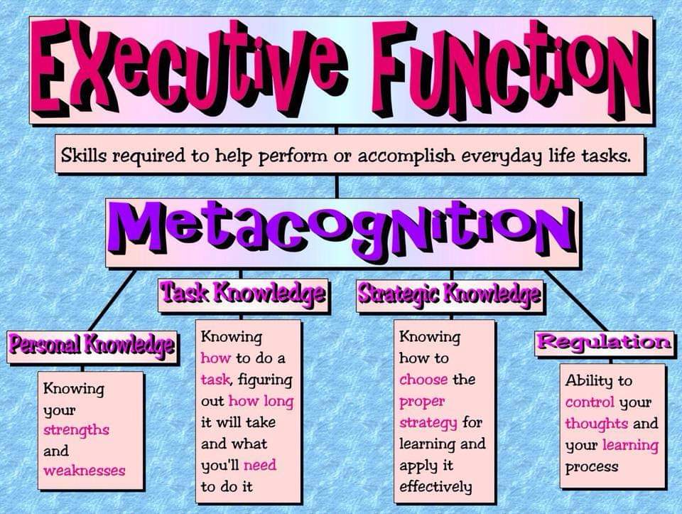 Teaching our young people about Metacognition.The awareness and understanding of one's own thought process. Thinking about their own thinking.Very powerful tool.🧠🌱
