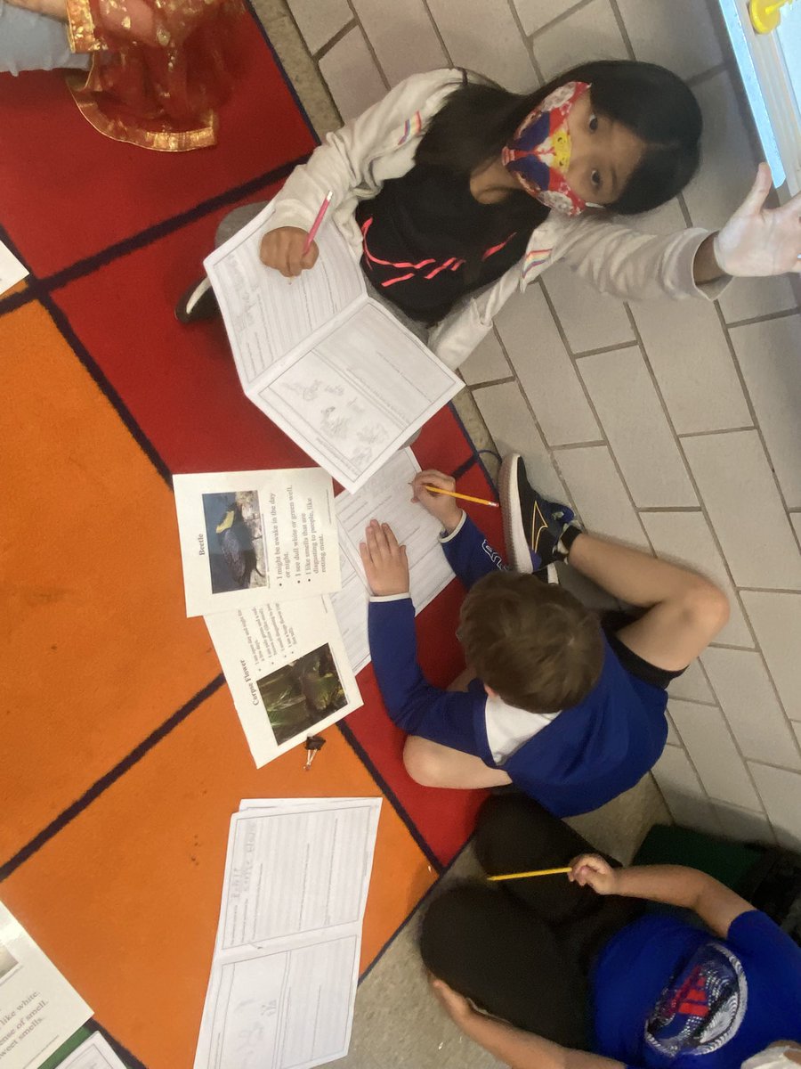 mrscapka's tweet photo. Matching pollinators to their favorite plants @Hillcrest_BCPS @BCPSSci #beeanengineer https://t.co/1rZes0g8gS