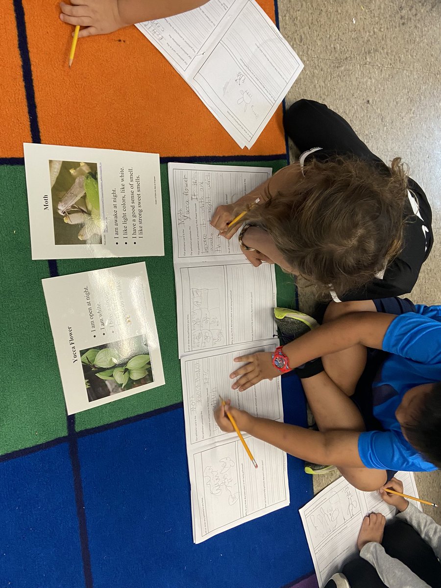 mrscapka's tweet photo. Matching pollinators to their favorite plants @Hillcrest_BCPS @BCPSSci #beeanengineer https://t.co/1rZes0g8gS
