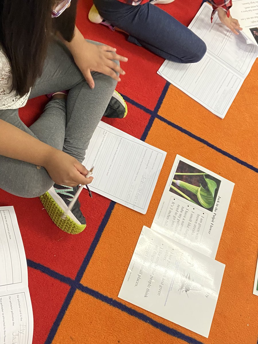 mrscapka's tweet photo. Matching pollinators to their favorite plants @Hillcrest_BCPS @BCPSSci #beeanengineer https://t.co/1rZes0g8gS