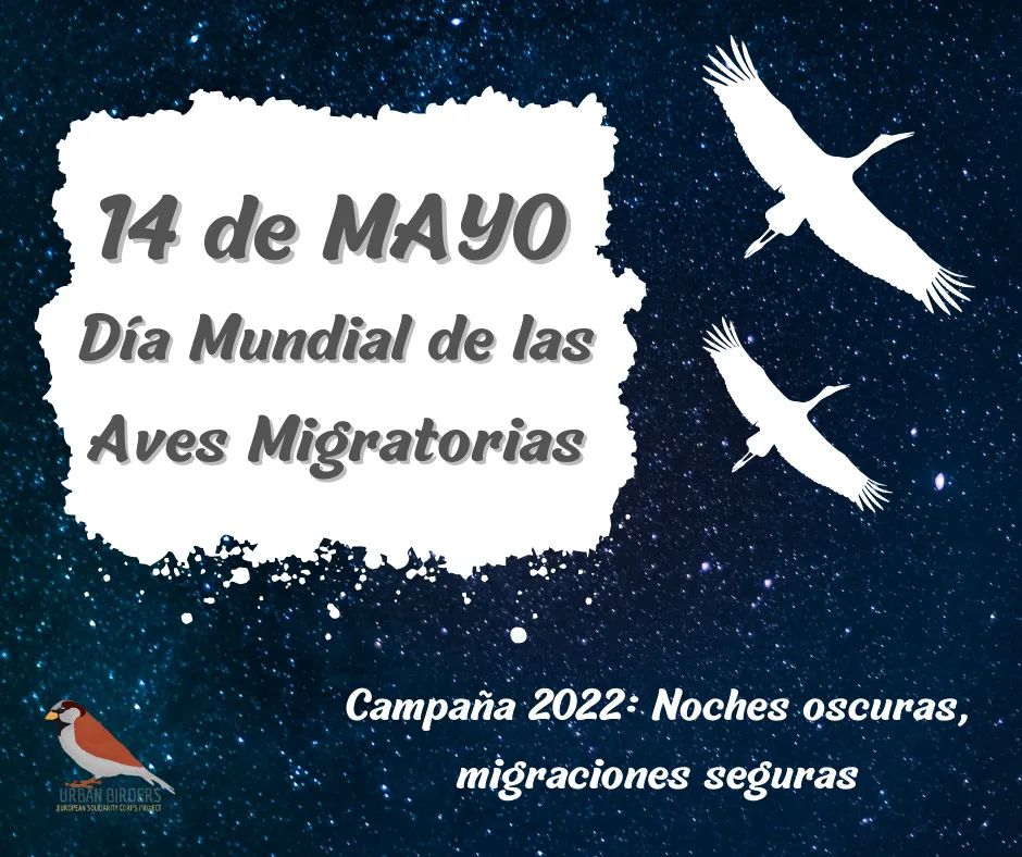 ¡Hola birders!

Hoy es el Día Mundial de las Aves Migratorias. Este año se pone el foco en la contaminación lumínica, uno de los grandes problemas para las aves migratorias. 

Muchas ciudades realizan un apagado de las luces de sus edificios para evitar la muerte miles de aves.