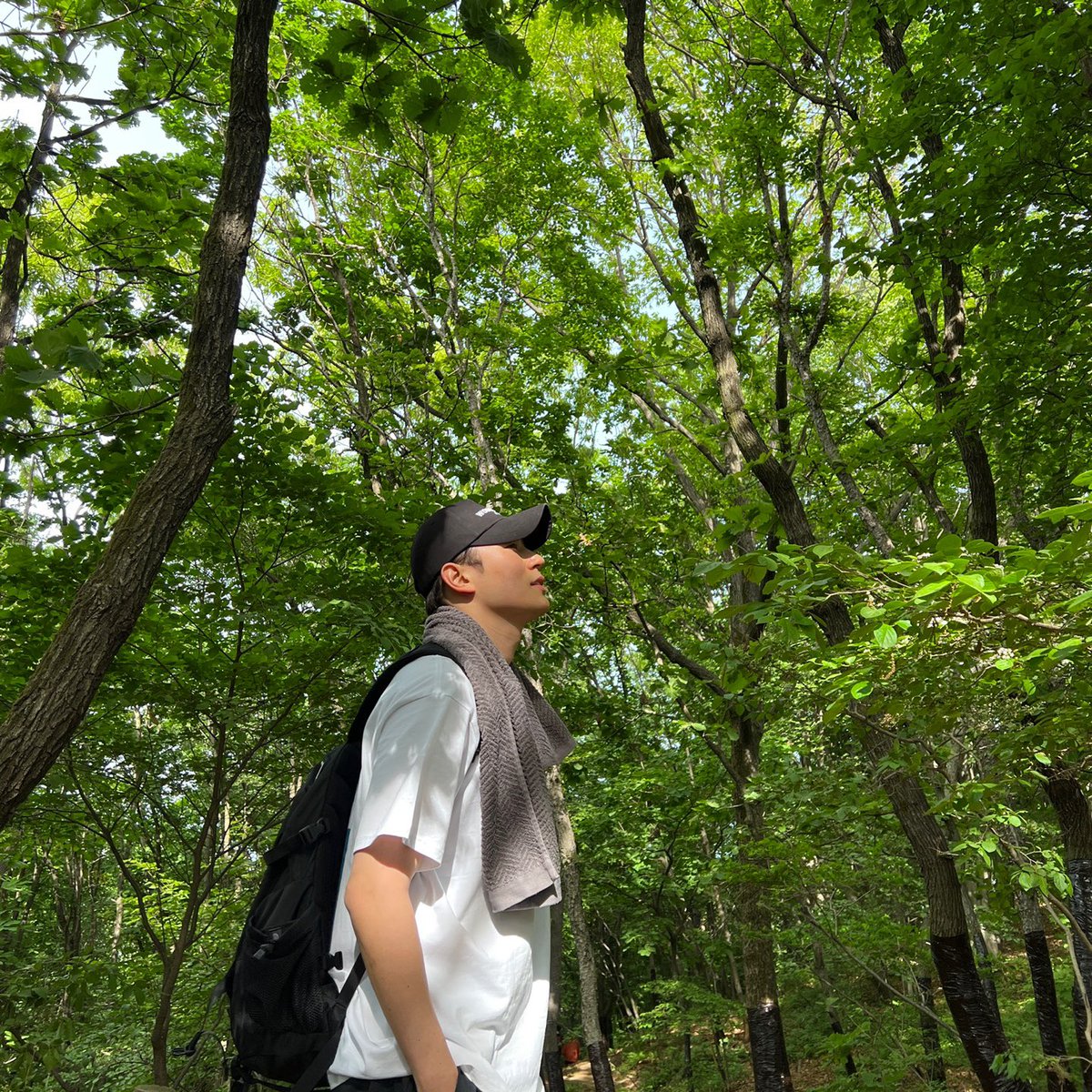 jaedaehae_'s tweet photo. 🌿 https://t.co/6kZsUaWnE1