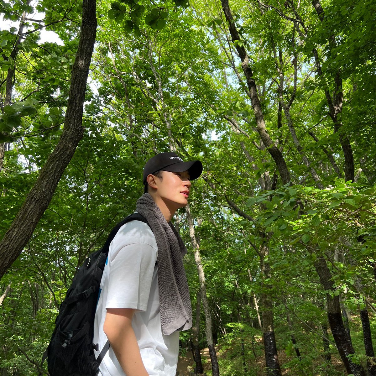 jaedaehae_'s tweet photo. 🌿 https://t.co/6kZsUaWnE1