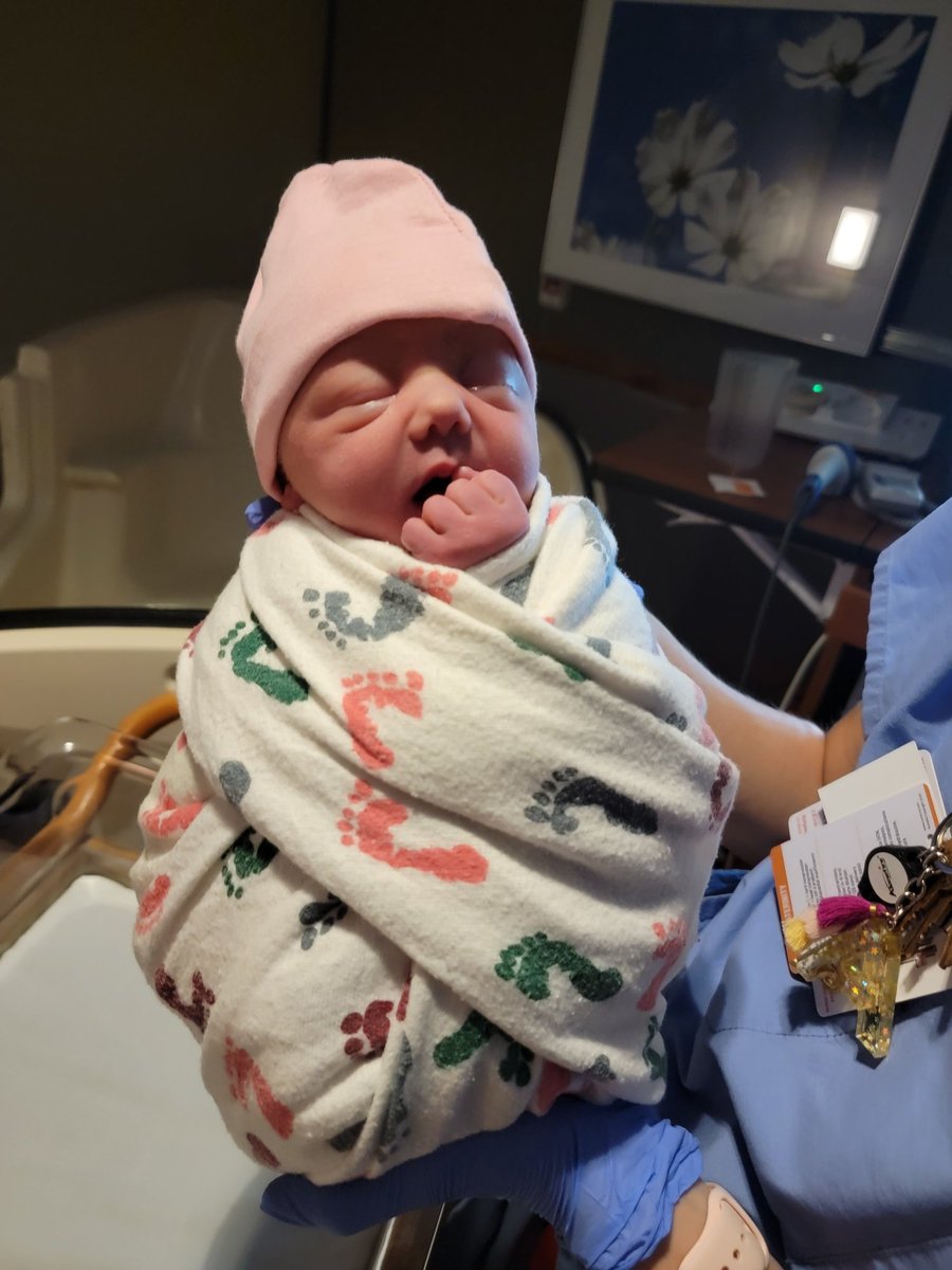 Spencer Lueders tweet media