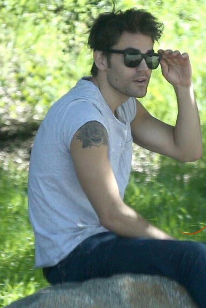Paul wesley ma quanto è bello qualcuno sa se è ancora sposato semplice curiosità 😭😭😭😭