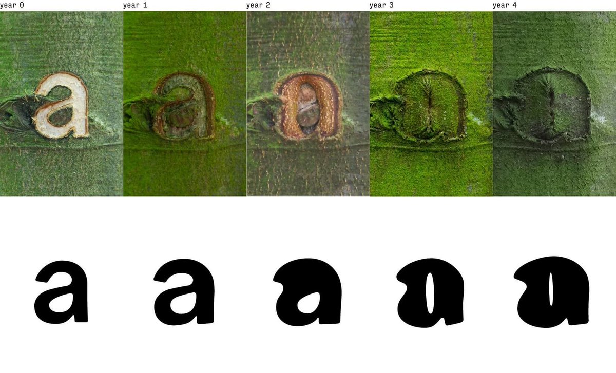 Sasha Costanza-Chock tweet media