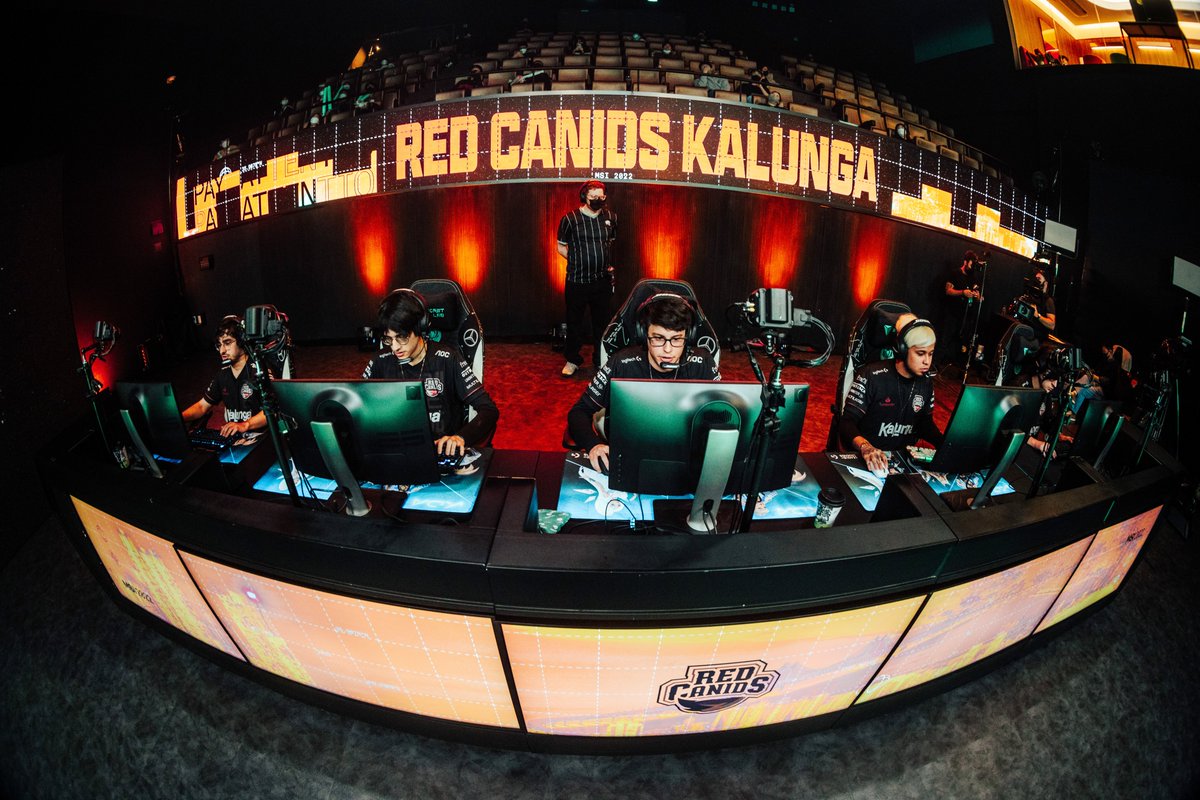 RED Canids Kalunga tweet media