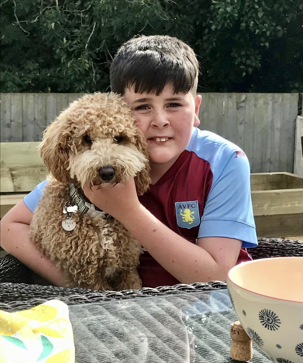 hellen_roche's tweet photo. @jmcginn7 my boy is your biggest fan but our seats are upper trinity! How can we get a shirt? #seasonticket #superjohnmcginn #dogcalledmeatball please let’s make his season! https://t.co/nbwZ2ypQ1P