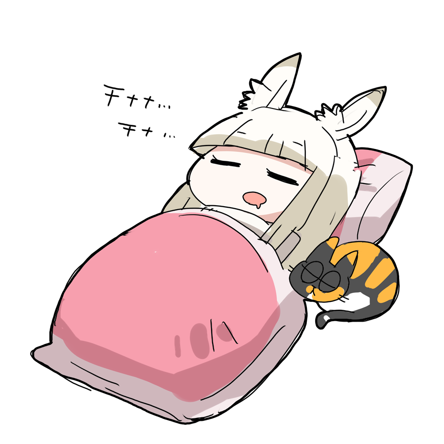 platinum (arknights) 1girl animal ears white background sleeping closed eyes simple background pillow  illustration images
