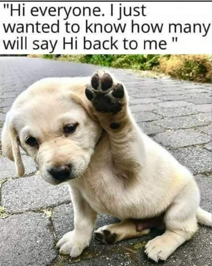 Leopaul Vallee tweet media