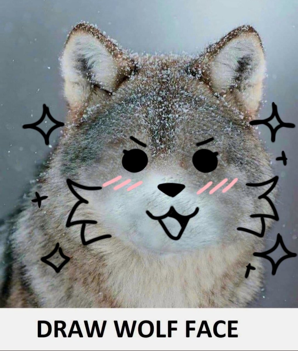 yumeiikoo's tweet photo. #drawwolfface
I know that this challenge was from like a year ago BUT I still wanted to do this bcuz I thought it would be fun to try this challenge ^w^ https://t.co/xywmx2J7dG