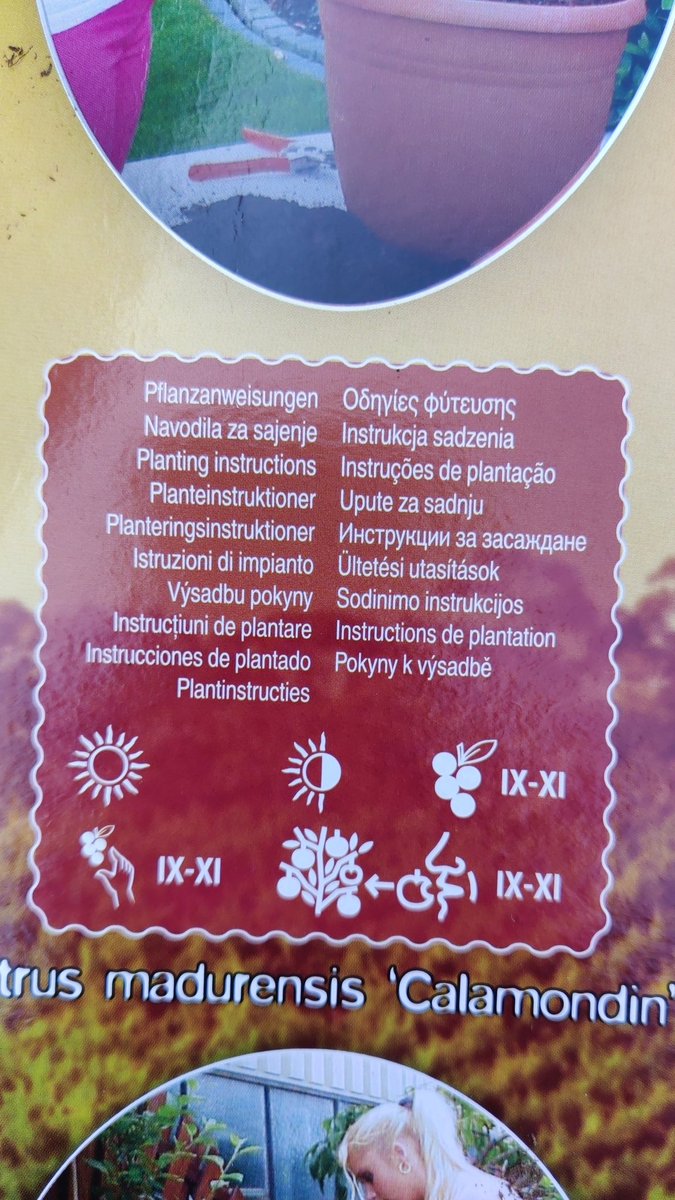 Graham Smith tweet media