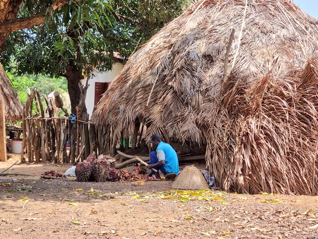 bahoro09's tweet photo. Tout ça à 75 000 GNF 😊😊.

#VisiterGuinee #Rodtrip #VisiteGuinee https://t.co/0cfljW4M1H