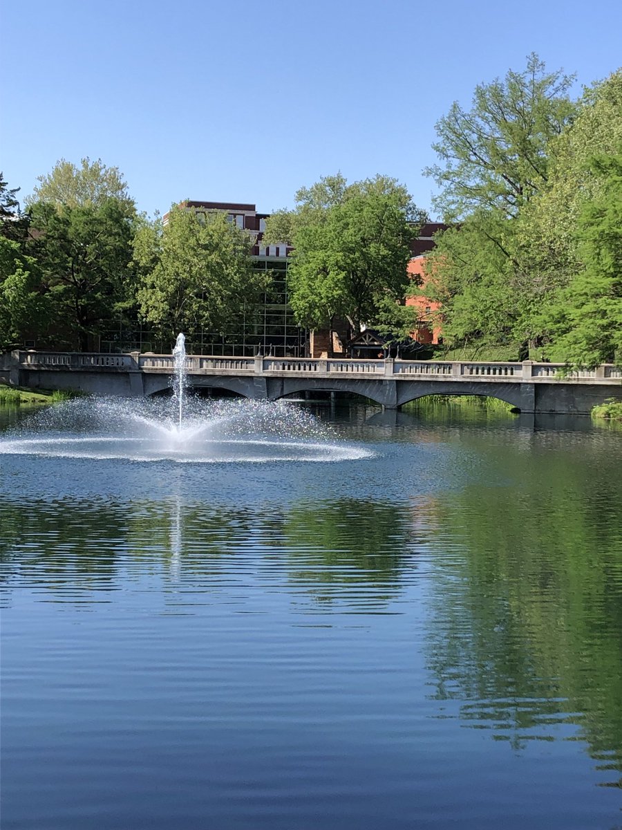 CsCoughlin's tweet photo. A quiet college campus is filled with melancholy, but it’s also a day to celebrate our graduates and alumni while also anticipating with joy the year ahead. #StingersUp https://t.co/HLIi6Ho6kE
