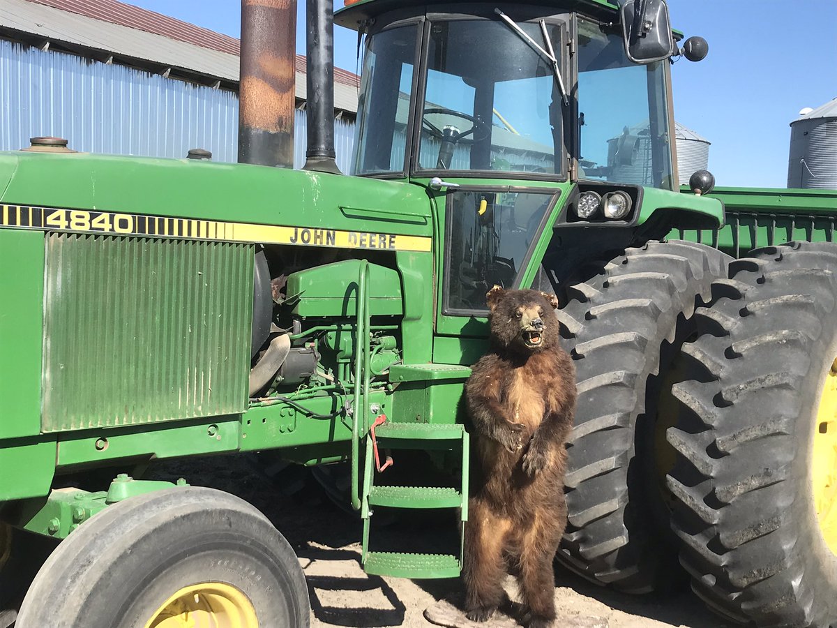 My new helper. This is what I came out to this morning. The neighborhood got together for beers last night. Boys being boys!