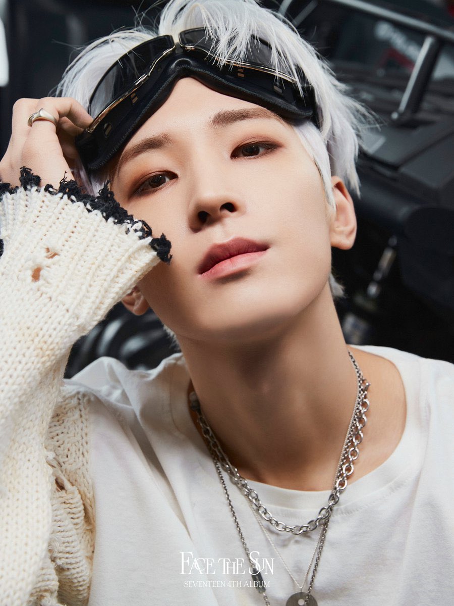 SEVENTEEN セブチ ウォヌ