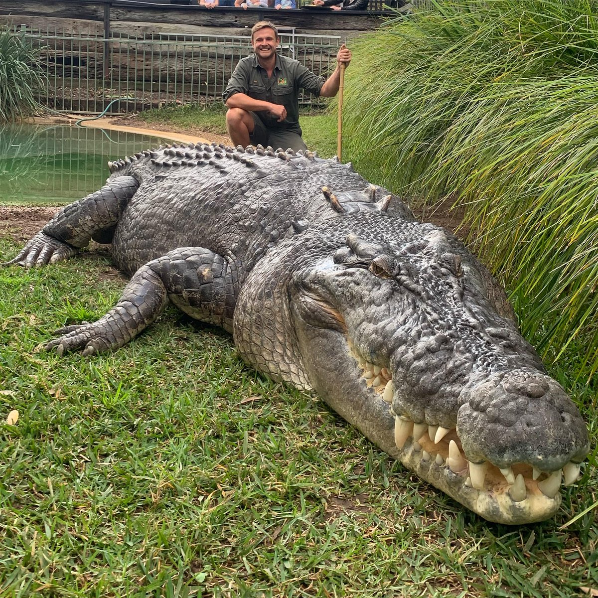 Gators Daily 🐊 tweet media