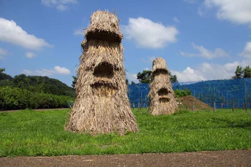 画像 / Picture