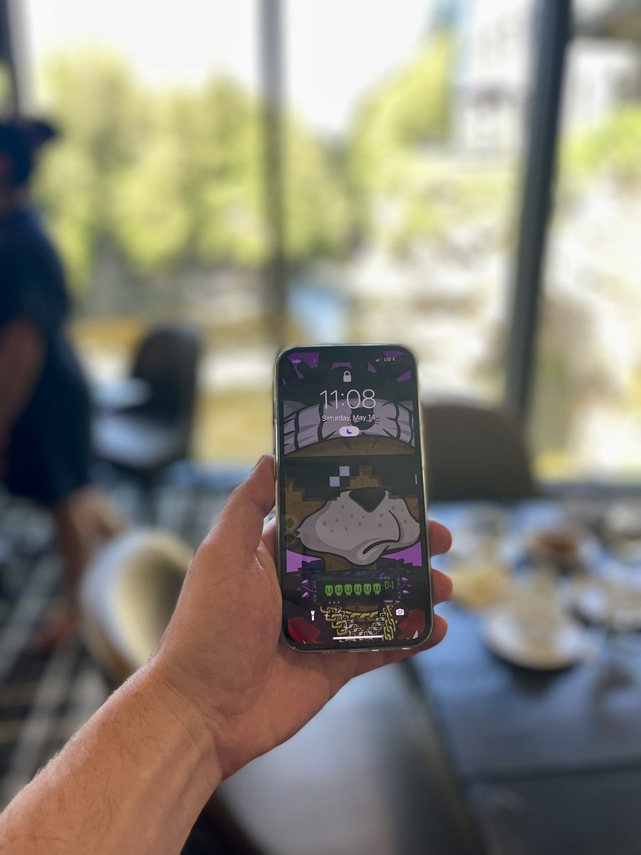 Lost Cat FUD Club tweet media