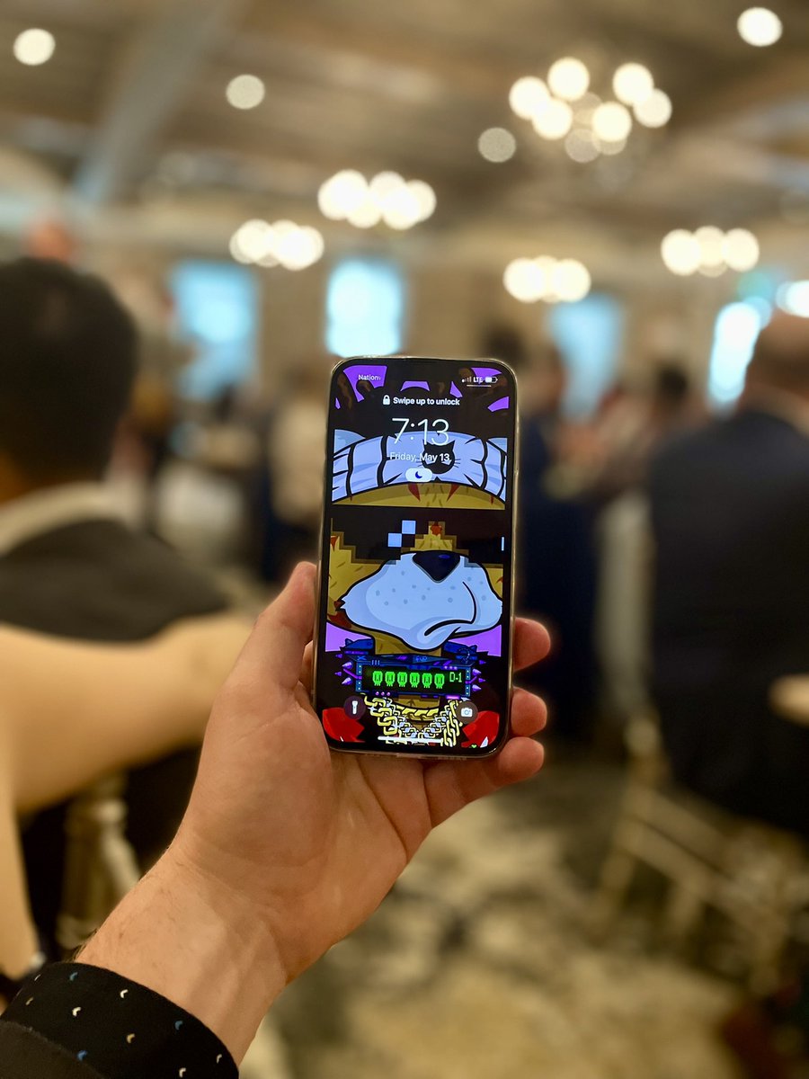 Lost Cat FUD Club tweet media