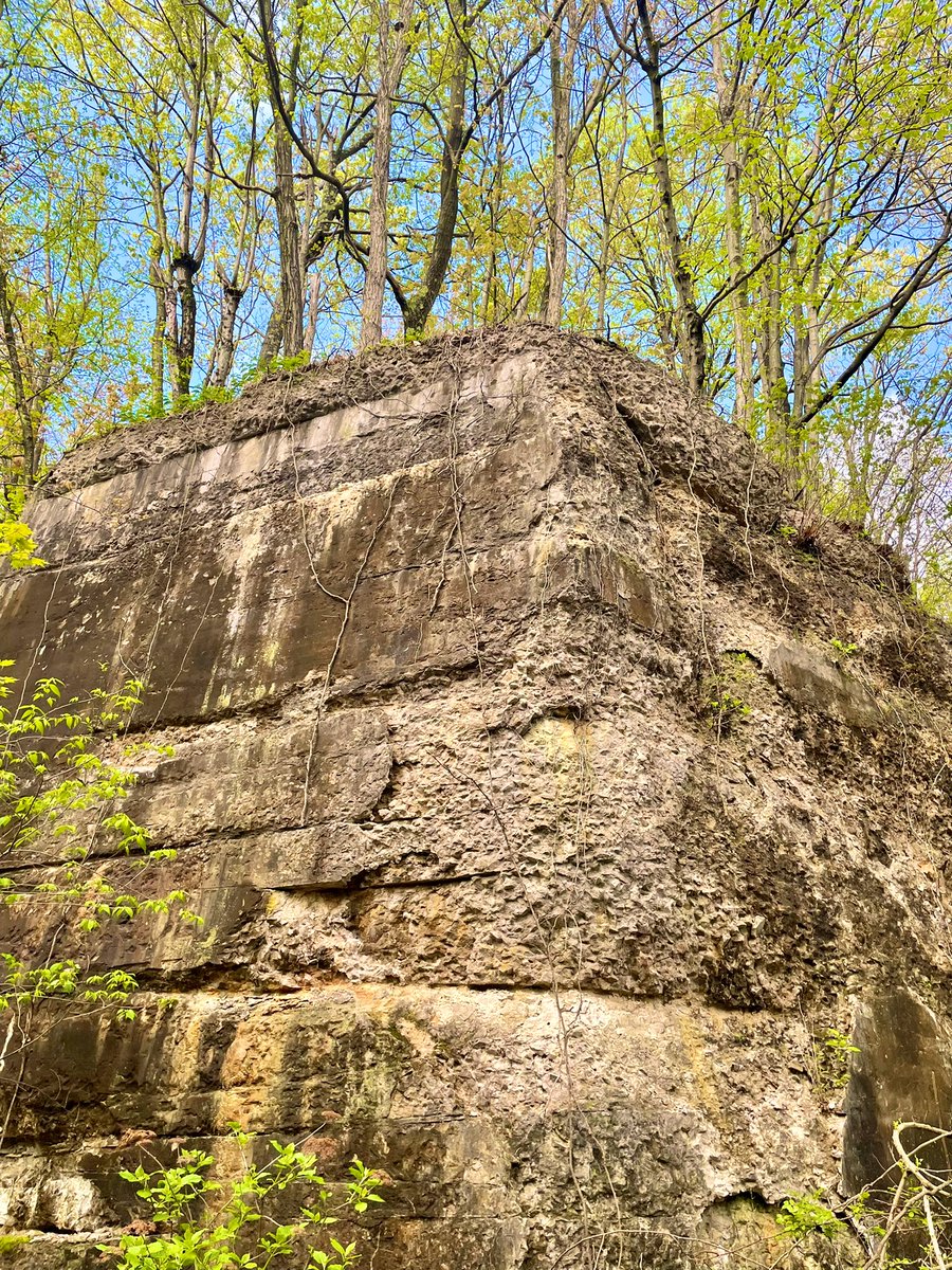 Chuck Danner tweet media