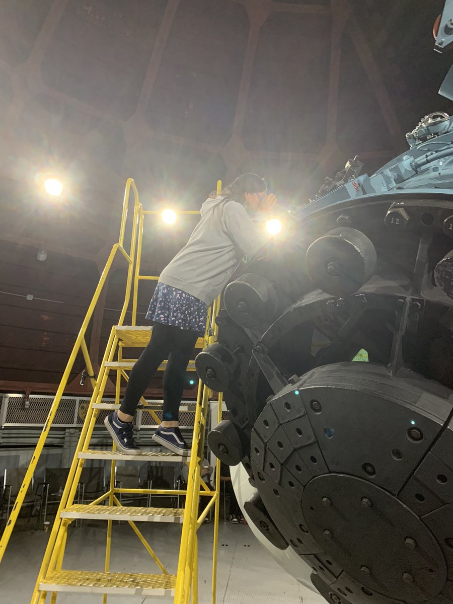 Dr. Jodi Marchesso tweet media