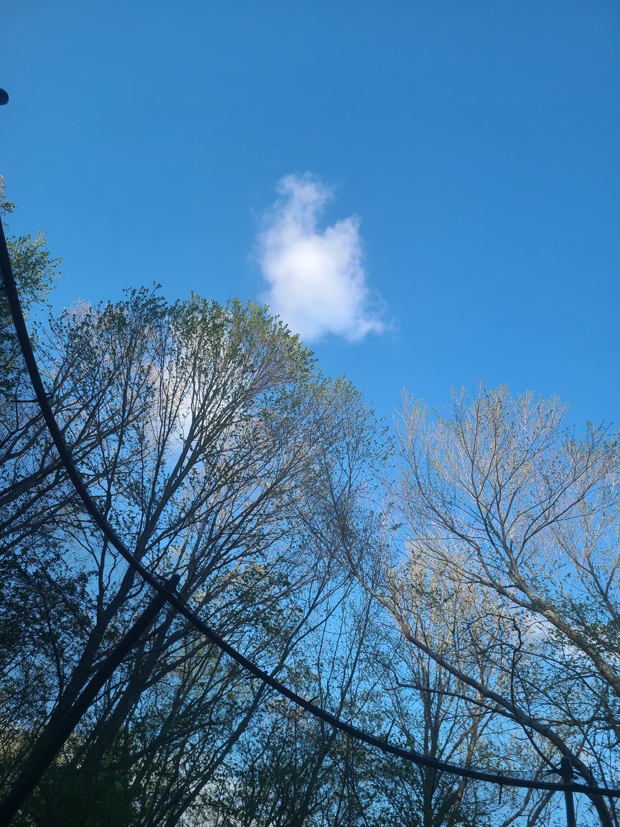 MGeorge85337359's tweet photo. @BetteMidler Good morning!  This is a pic from a moment ago.  I am lying on my kids' trampoline just watching the morning clouds.  Have a great day Bette - and thanks for all the joy you bring!❤️ https://t.co/OA1k8fCf3d