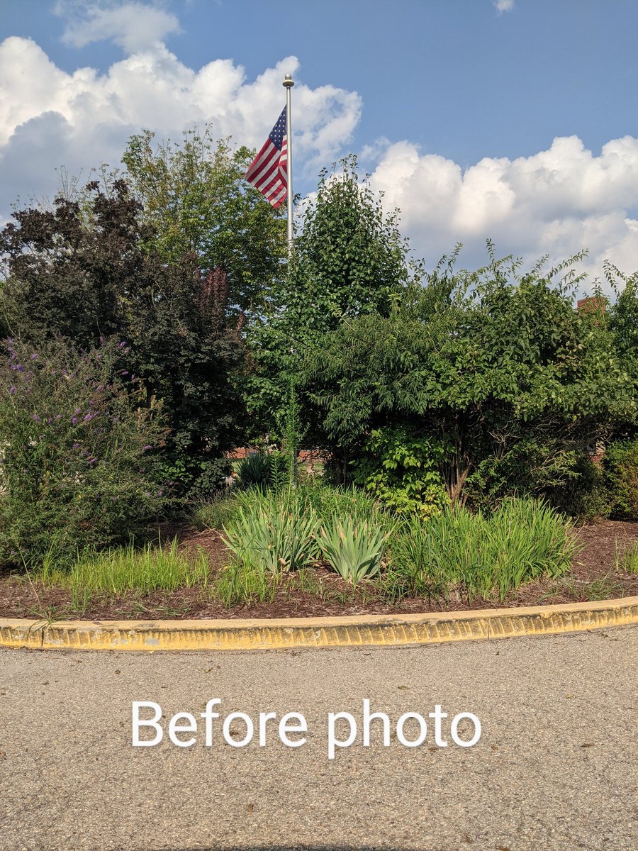 McclellanPta's tweet photo. The Garden Committee headed by Reagan Katz and Jaime Horhut did an amazing job at beautifying our butterfly garden 🦋. The K students will be painting a rock each year for our river and taking it when they move to 3rd grade..a never ending flowing river...@McClellan_WJHSD https://t.co/6xWgzdTQKT