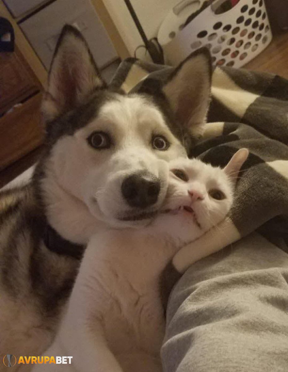 Instaya foto atalım diye darlayan arkadaş