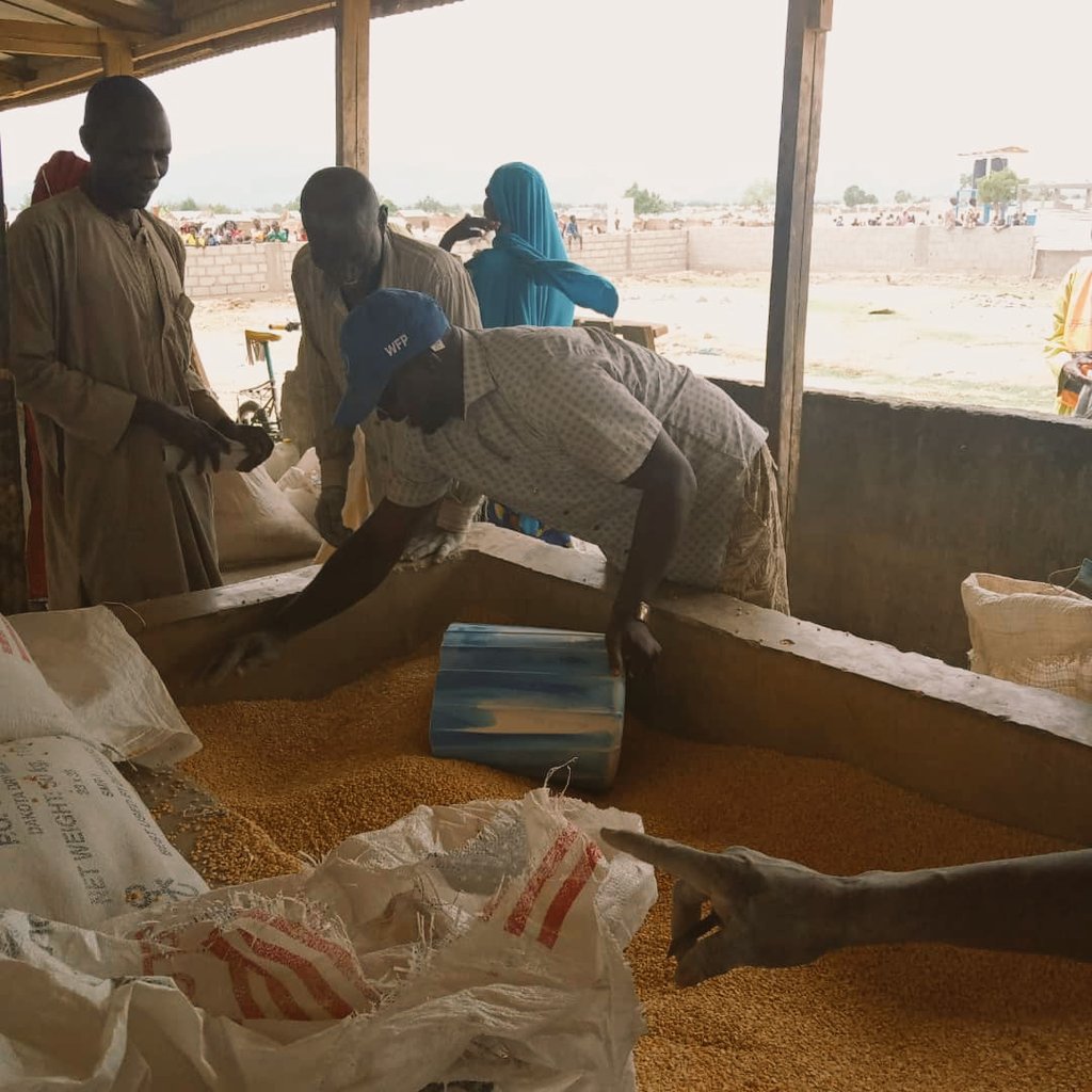 elvisnjabe44's tweet photo. @wfplogistics is only Done. When #FSQ ensures @WFP_Cameroon beneficiaries receive good quality food🍲👍#distribution_site in Maroua @WFP https://t.co/5LRb4xAbWe