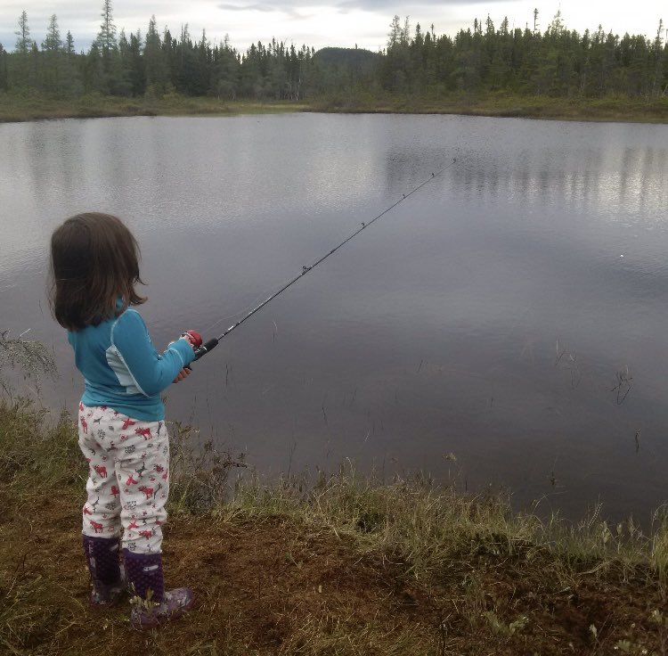 NLWildlife's tweet photo. With #trouting season opening tomorrow, thought I would share some of my favs from the past few seasons. Wear your PFD and always check the ice before venturing out on it. #fishing #Newfoundland #labrador #takeakidfishing #brooktrout #nlwildlife https://t.co/RgkivG2xTv