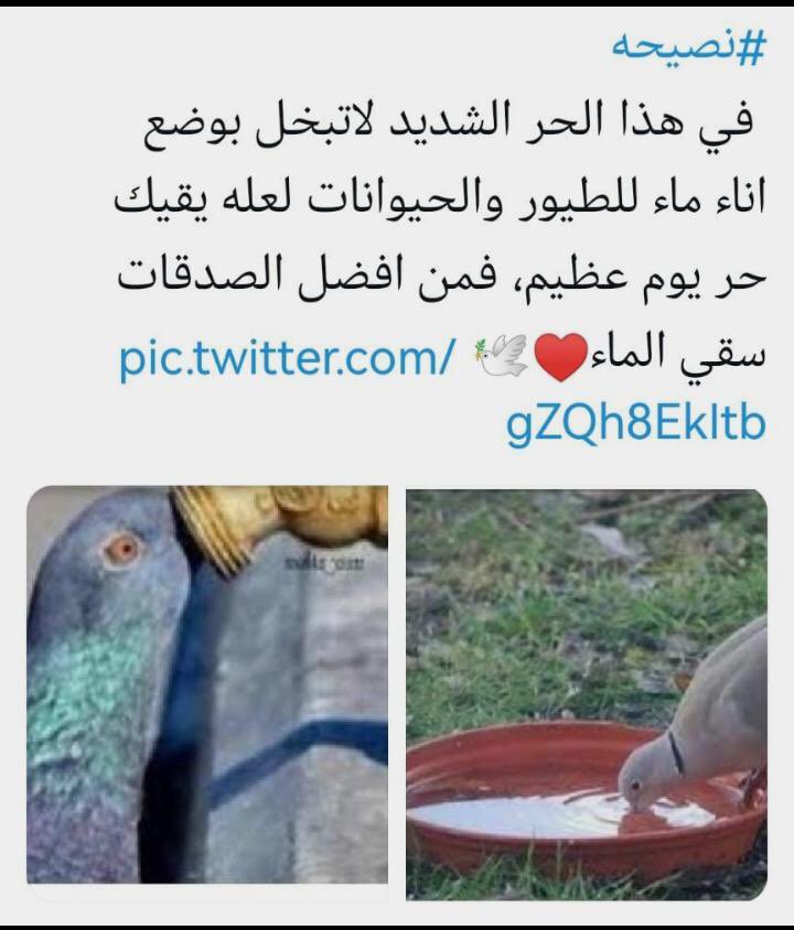 ساكو tweet media