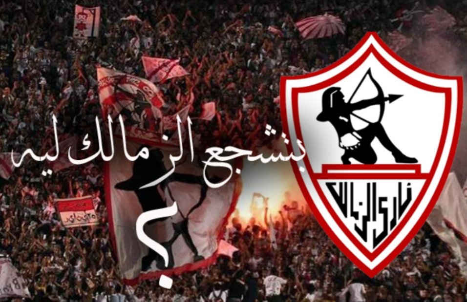 عالم حسناء tweet media