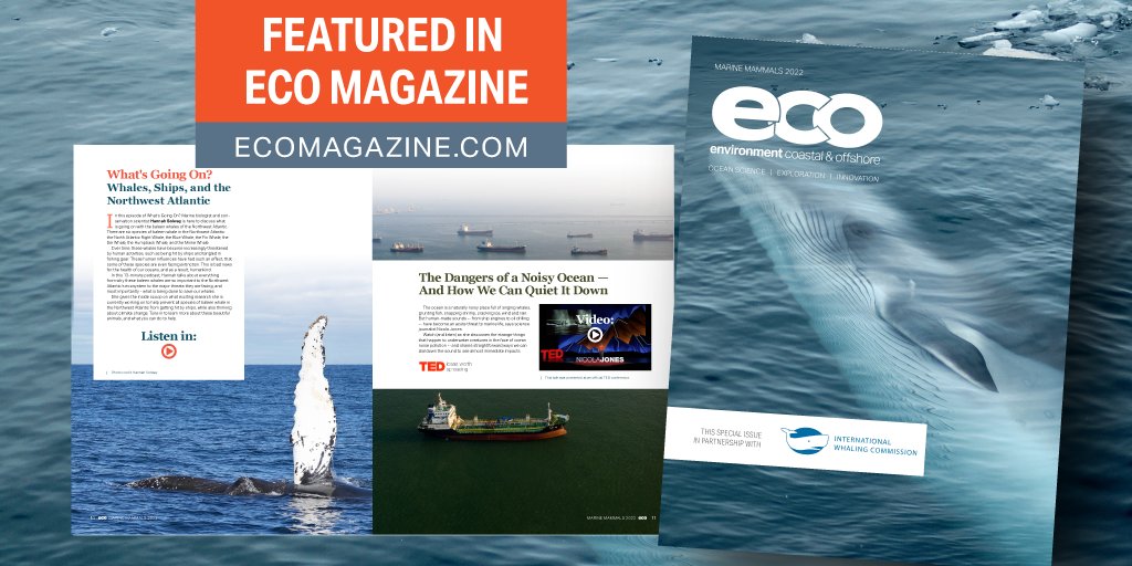 ecoMagNews's tweet photo. In this podcast, Marine biologist @hannahbsolway discusses the status of baleen whales in the Northwest Atlantic! 

Listen here in our Special Edition on marine mammals! https://t.co/ifeSymJbMa

#Whales #Podcasts #SciComm https://t.co/ZPqrpUdfWa