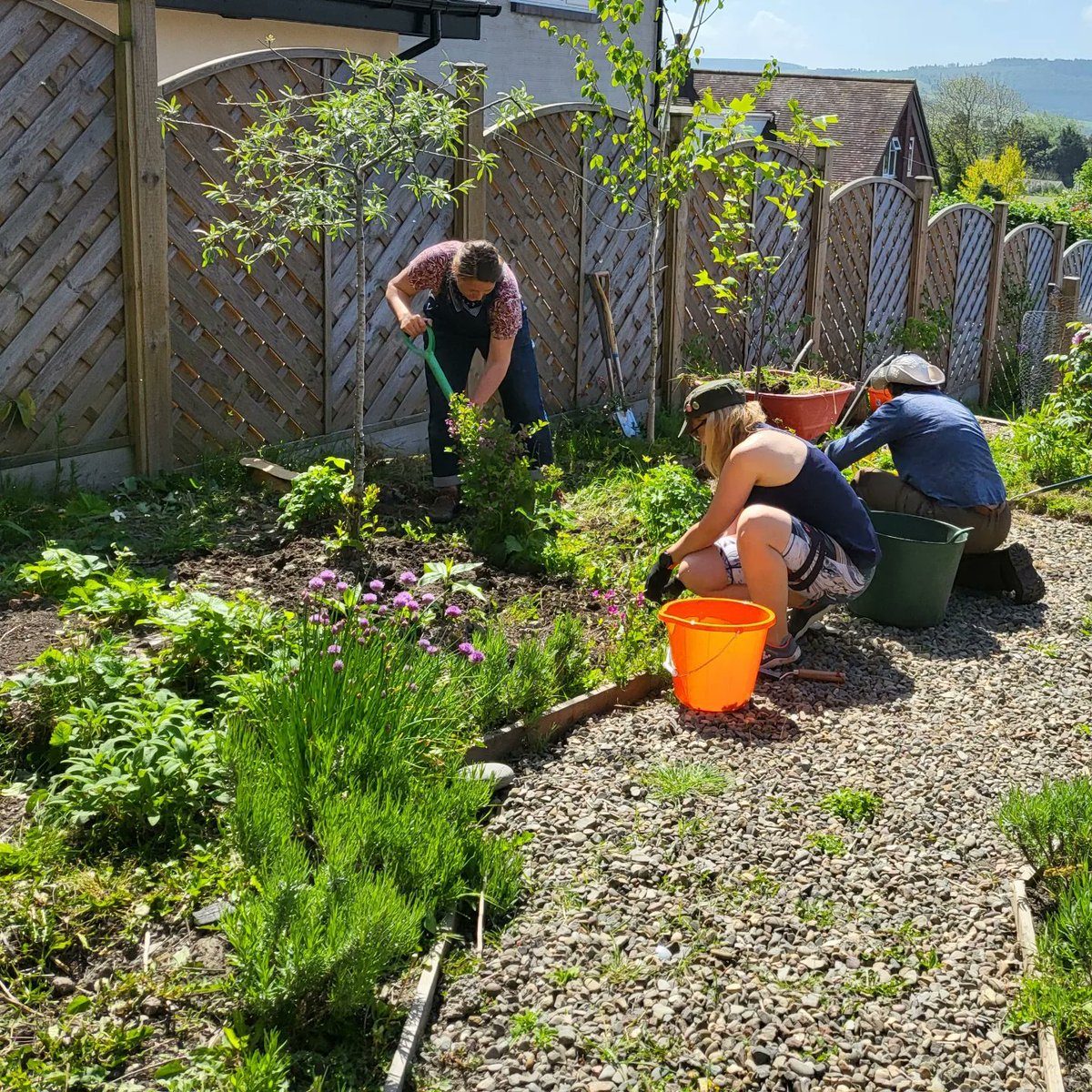 emergencypoet's tweet photo. Poetry Pharmacy Physic Garden in progress! Such a joyous thing!
Thanks so much Esther and @lizcolebrook with some extra muscle from lovely Mirka Duxberry  
I do love you wonderful women!
Just a few £100 to go to reach our target....
https://t.co/w4D1sKli12
❤️🙏❤️👩‍🌾🌸☘️🌿🌱 https://t.co/eEUxURHeUw