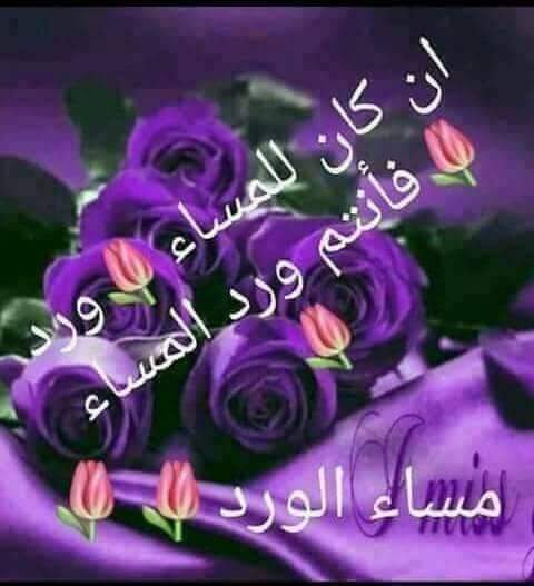 💜🌿 مساء الفل والياسمين للجميع🌸💜🌿