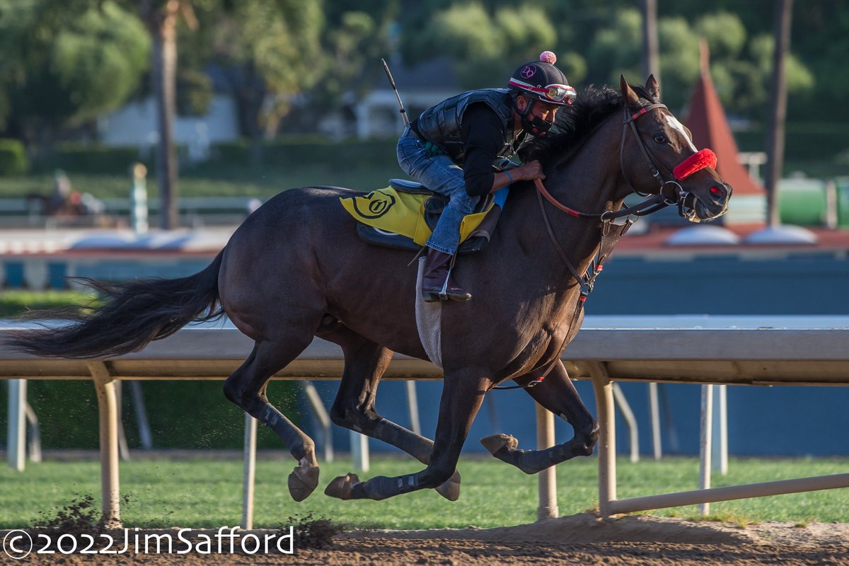 kimo16's tweet photo. Hot Rod Charlie is back at work going 3F in 36.40 this morning for the team at Doug O'Niell Racing @santaanitapark @DougONeill1 @BoatRacingLLC @Gainesway https://t.co/0YnkKl6z9v