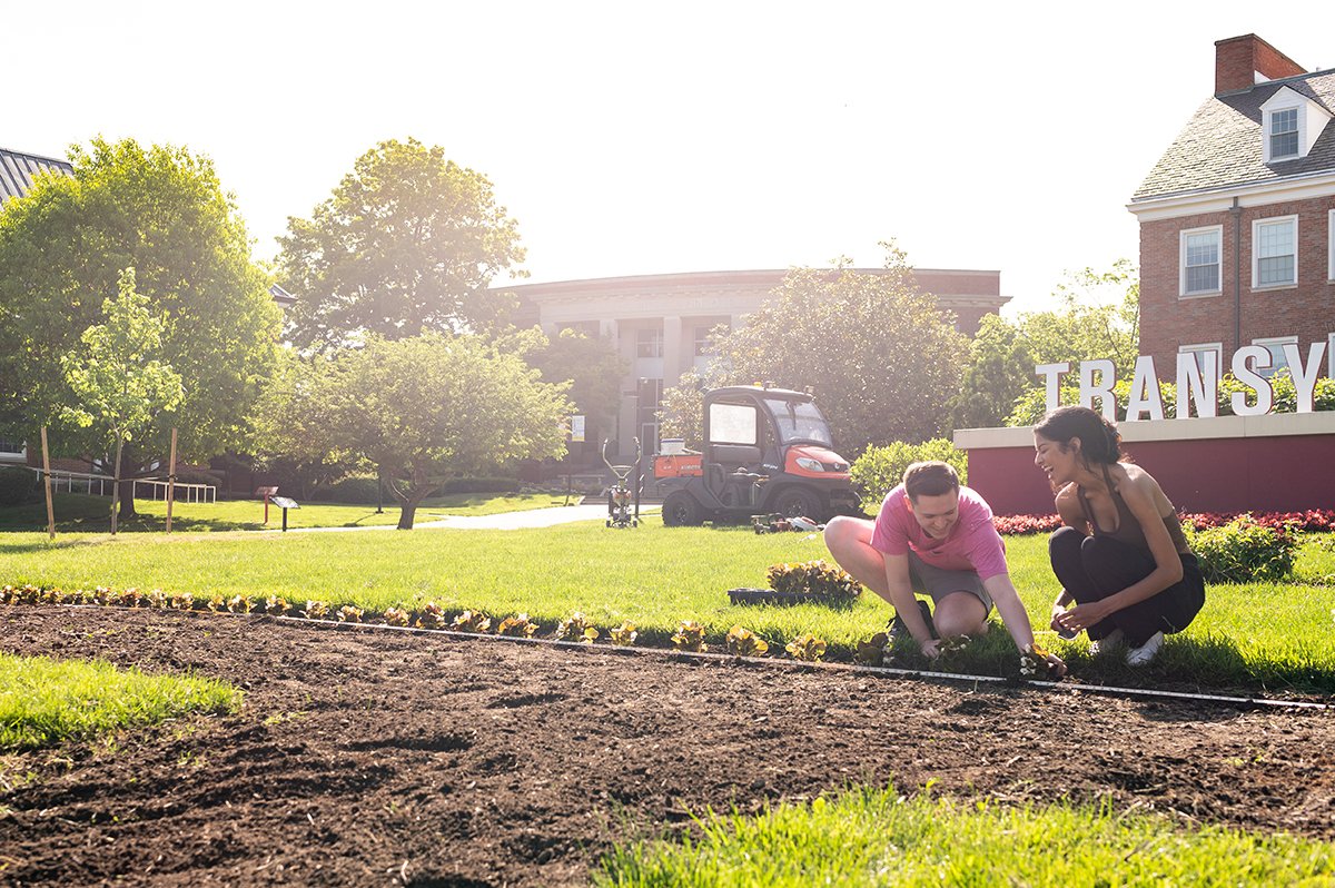 Transy's tweet photo. The Transylvania grounds crew — with he help of our Student Government Association and other volunteers —  planted the flower T in Carpenter Circle yesterday. This year's planting included 1,080 red begonias and 504 white ones. #TransyTradition https://t.co/8rK9lndy77