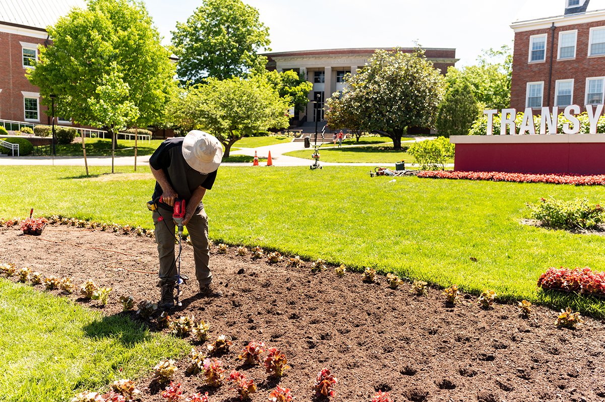 Transy's tweet photo. The Transylvania grounds crew — with he help of our Student Government Association and other volunteers —  planted the flower T in Carpenter Circle yesterday. This year's planting included 1,080 red begonias and 504 white ones. #TransyTradition https://t.co/8rK9lndy77