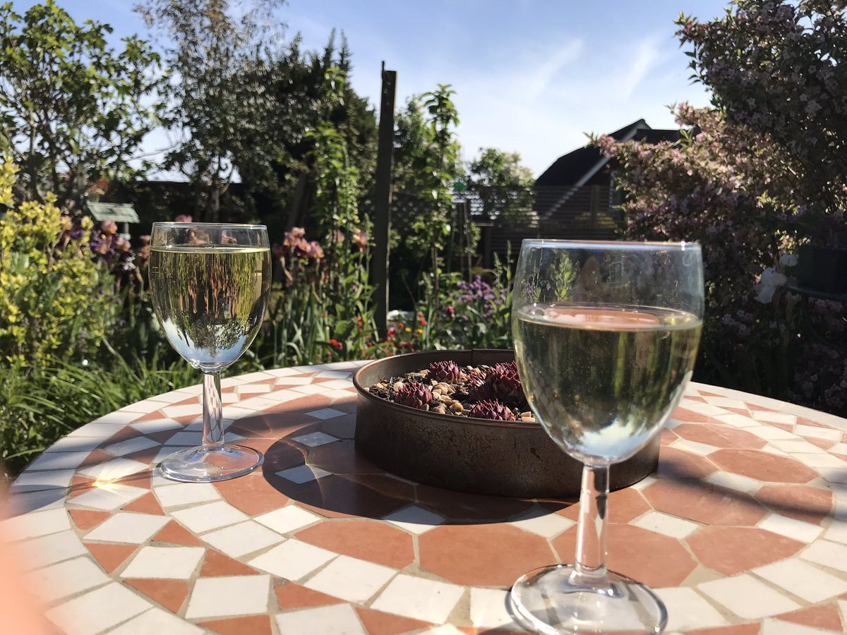 bobandspen's tweet photo. In the garden enjoying the sun and a wee refreshment. https://t.co/rmphfRQ46G