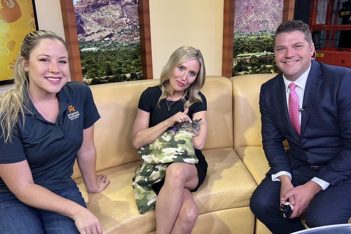 GoodfriendC's tweet photo. Itβs kitten adoption season at the @azhumane π Kelsey Dickerson brings 11-week-old Smokey the kitten in studio #kitten #needsforeverhome #arizonahumanesociety #freeadoptions Fees are waived this weekend π@ANITAROMANFOX10 @Stevenielsen https://t.co/reLXbbzawV