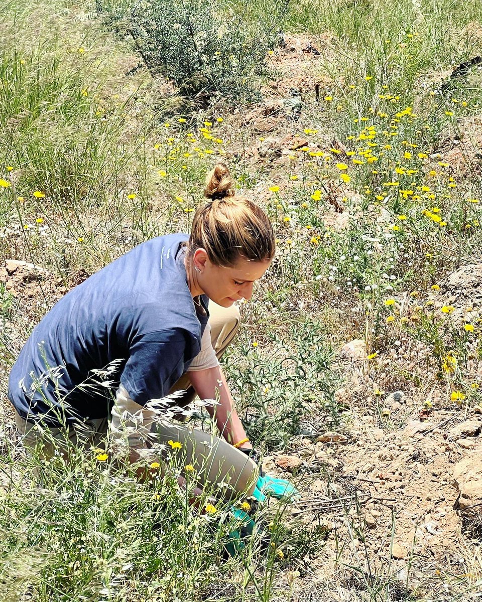 THI_OneGreece's tweet photo. #PLANTATREEINGREECE
We successfully completed our first mission on Hymettus Mountain with @OfficialWe4all ! https://t.co/ZDw5pR5sEk