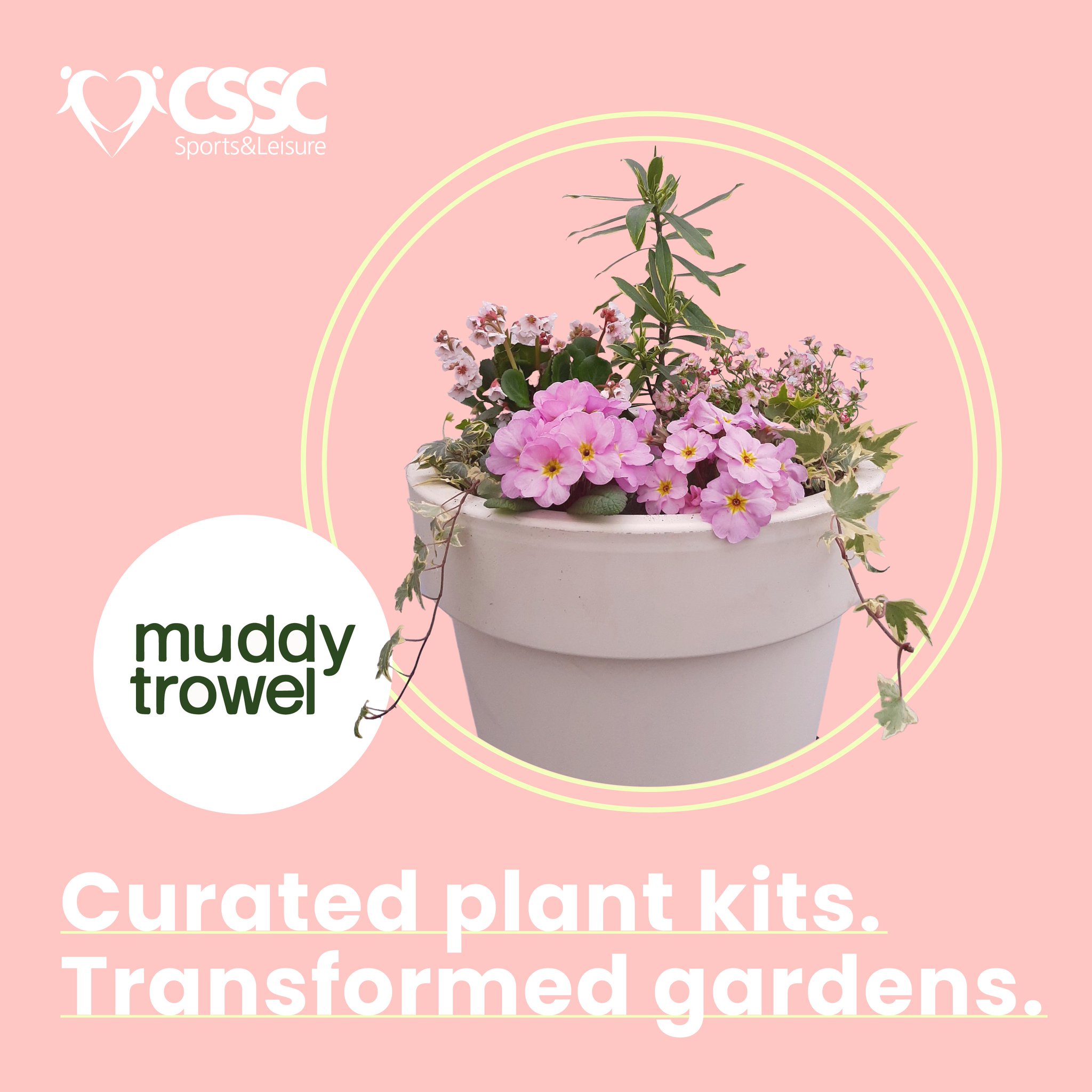 CSSC on Twitter "Treat someone special this month with a gift from our