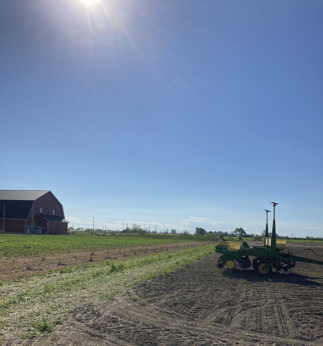 Can’t wait for great local beer and this beautiful weather all Summer long ☀️ Plot 1 of 3 of our <a href="/CortevaCA/">Corteva Canada</a> Brewery Series in the ground today <a href="/RedBarnBrewin/">Red Barn Brewing Co.</a> in Blenheim. Thanks to Mark English and Pioneer Rep Keilcroft Farms <a href="/JulianneRhode17/">julianne&david rhodes</a>. Stay tuned for our other locations🍺