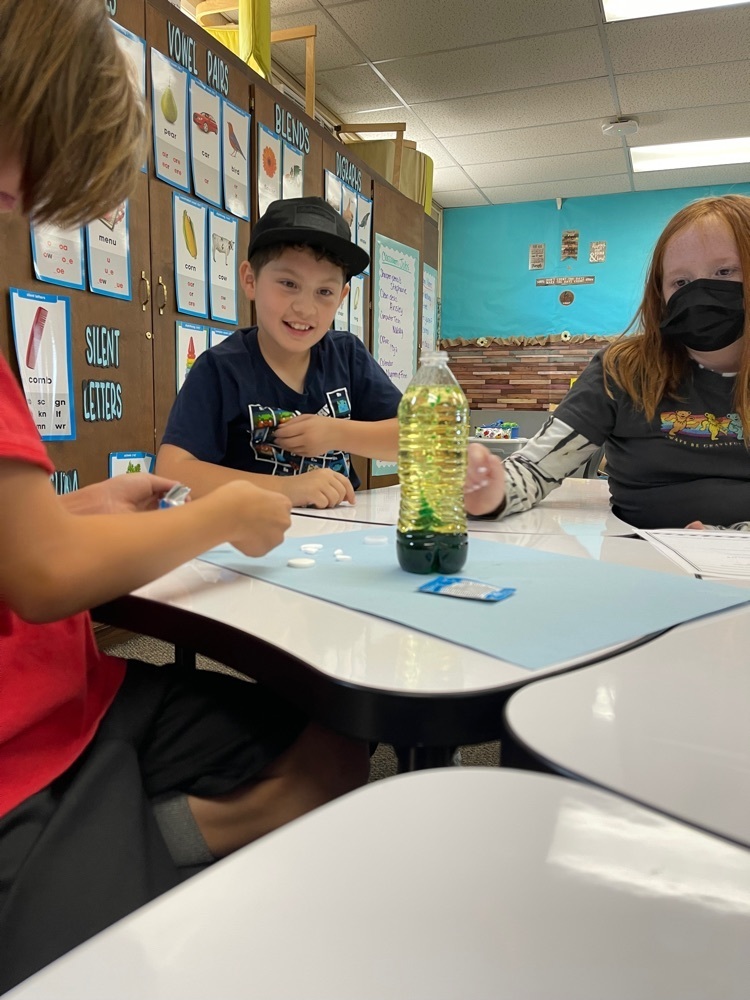 David MacLeod tweet media