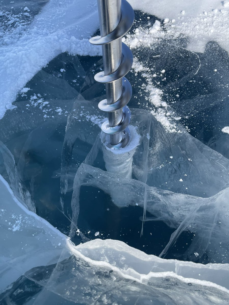 Laura Brown tweet media