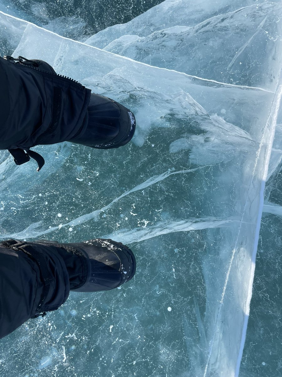 Laura Brown tweet media