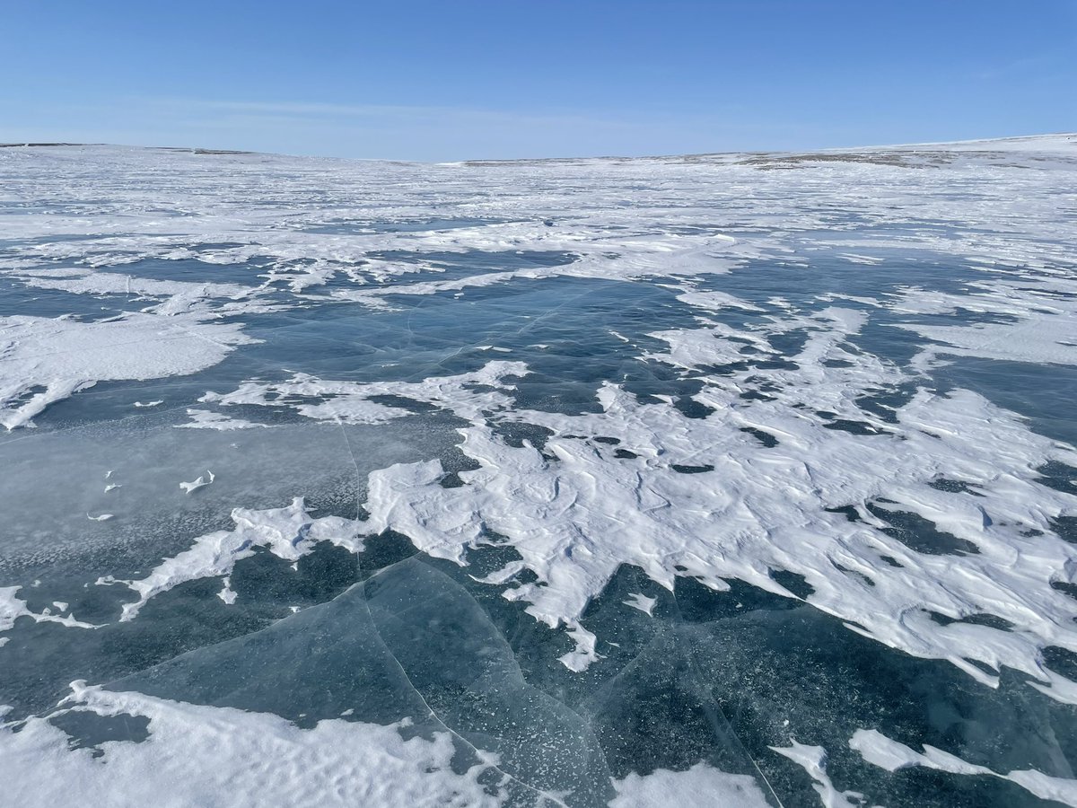 Laura Brown tweet media